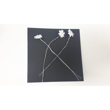 POMO FLOR PF0019 BLANCO